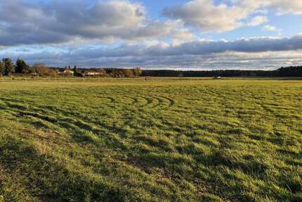 Grundstück zu verkaufen in Torgelow 89.760,00 € 748 m²