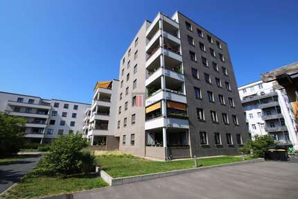 Wohnung zum Mieten in Dresden 1.553,00 € 114 m²