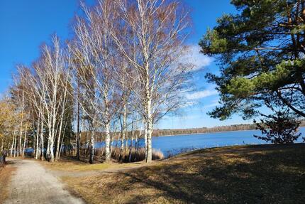 Idyllisches Wochenendgrundstück am See | Waldlage | Strand 250 m - Finsterwalde