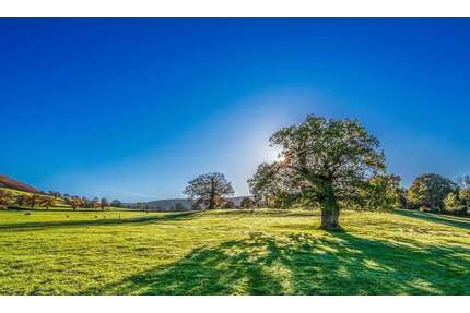 Grundstück zu verkaufen in Gedern 75.000,00 € 567 m²