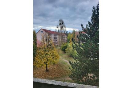 Renovierungsbonus! Großzügige 3 -Raumwohnung mit Tageslichtbad, Balkon und Aufzug! - Neuhardenberg