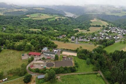 3ZKB-Wohng zu vermieten, sehr ruhig, Alleinlage, Natur, Balkon - Boppard