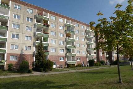 Wohnung zum Mieten in Stralsund 393,90 € 65.65 m²