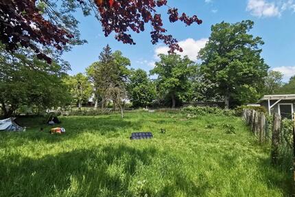 532 qm GartengrundstückErholungsfläche in Gnoien zu verpachten !