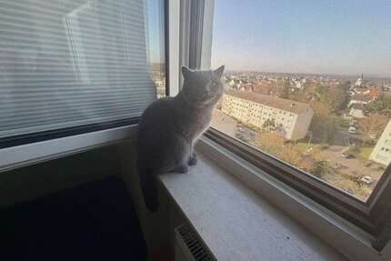 Wohnung zum Kaufen in Maintal 265.000,00 € 75 m²