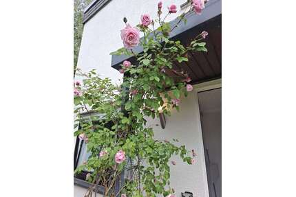 Wohnung zum Mieten in Baiersbronn 685,00 € 80 m²