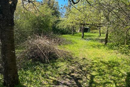 Gartengrundstück zu vermieten inkl Hühnerhaltung - Leonberg