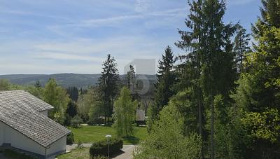 PANORAMA-PERLE IM HEILKLIMATISCHEN KURORT - Lenzkirch