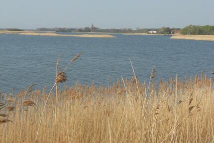 nur wenige Meter bis zum Wasser 3.ZKB mit 58 qm - Greifswald Eldena