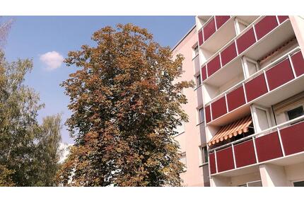 Neu saniert! - 356,00&nbsp;EUR Kaltmiete, ca.&nbsp; 57,76&nbsp;m&sup2; in Halle (Saale) (PLZ: 06132) Silberhöhe