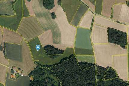 Grundstück in Falkenstein 119.075,00 € 23815 m²