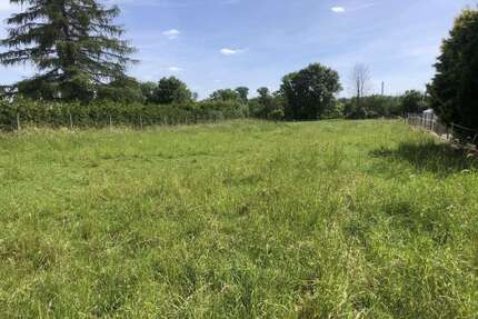 Grundstück zu verkaufen in Trebbichau an der Fuhne-Hohnsdorf 29.500,00 € 1660 m²