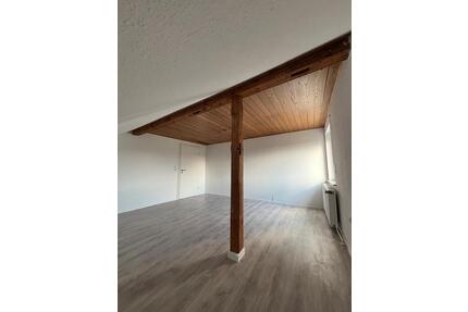 Renovierte 3 Zimmer Wohnung in Röddenau - Frankenberg (Eder)