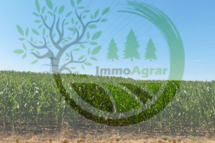 Grundstück in Nennslingen 77.000,00 € 37348 m²