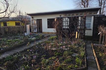 Kleingarten in Kleiner Palmengarten e.V. in Leipzig-Lindenau