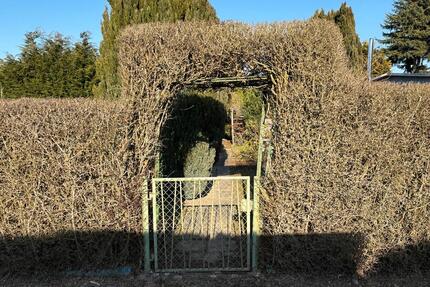 Garten Privatgarten Bungalow Gemauert Schrebergarten - Haldensleben