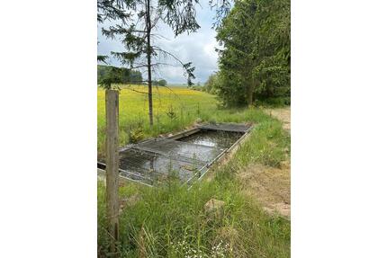 Freizeit-Erholungsgrundstück inkl. Fischteich-weiher - Niederwörresbach