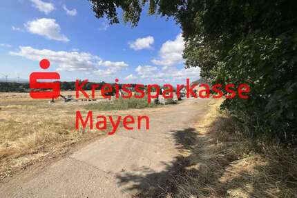 Grundstück zu verkaufen in Mayen 96.000,00 € 384 m²