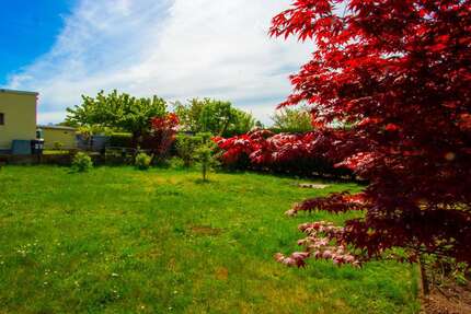 Grundstück zu verkaufen in Berlin 219.000,00 € 555 m²