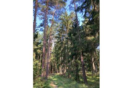 Grundstück in Reichertshausen 243.300,00 € 24330 m²