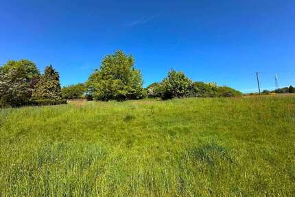 Grundstück zu verkaufen in Freudenberg 114.000,00 € 1072 m²