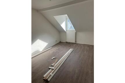 Neu renovierte Wohnung in Altenkirchen zu vermieten - Altenkirchen (Westerwald)