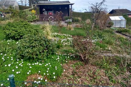 Kleingarten an Elektriker abzugeben Solingen, Bimerich GNr. 67