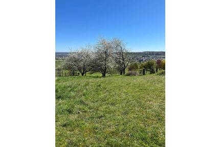 RESERVIERT! Baugrundstück in einer Sackgasse von Biesingen zu verkaufen! - Blieskastel