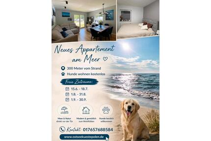 Appartement polnische Ostsee 300 m zum Strand, Hunde willkommen - Gütersloh Kattenstroth