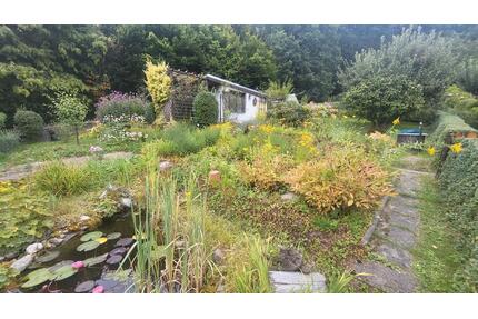 Garten in Kleingärtnerverein abzugeben KGV Frohe Zukunft e.V. - Freital