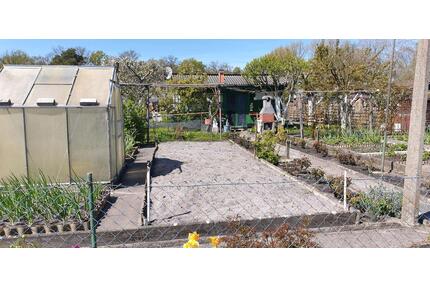 Kleingarten, Schrebergarten, 450 qm in Gamsen - Gifhorn