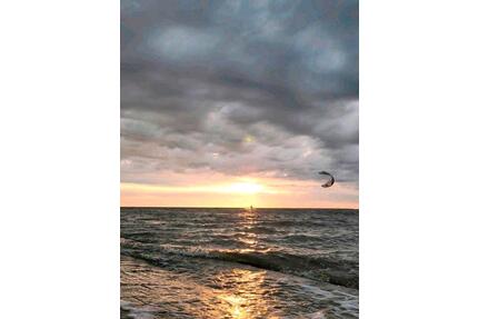 Nordsee Esens Bensersiel FerienhausFerienwohnung Hund 1.Mai frei