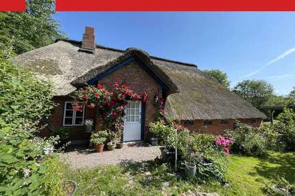 Haus zum Kaufen in Drage 259.000,00 € 90 m²