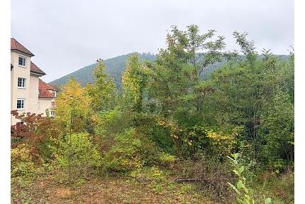 FERTIGES PROJEKT SUCHT UMSETZUNG! - Badenweiler