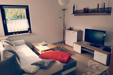 Ferienwohnung 2 - 4 Personen, für Monteure - Gräfenhainichen Zschornewitz