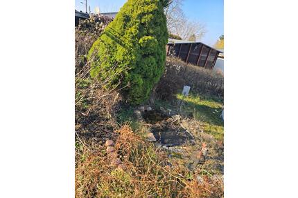 Pacht Kleingarten - 800,00&nbsp;EUR Kaltmiete, ca.&nbsp; 0,00&nbsp;m&sup2; in Crimmitschau (PLZ: 08451)