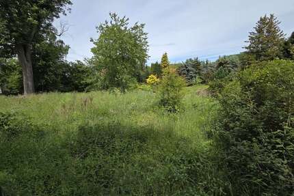 Grundstück zu verkaufen in Ebersbach-Neugersdorf 45.000,00 € 1800 m²