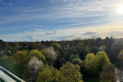 Lichtdurchflutete 3-Zimmer-Wohnung mit Balkon in Sankt Augustin