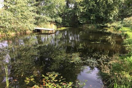 Freizeitgrundstück mit Teich, Alleinlage, 40 km nördl. HH - Barmstedt