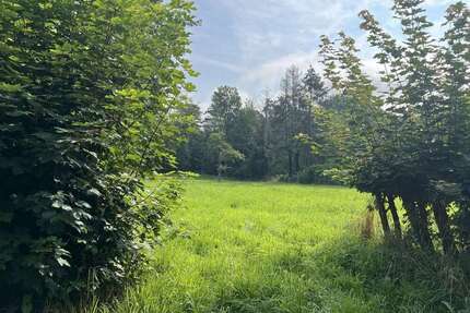 Grundstück zu verkaufen in Rehburg-Loccum 140.000,00 € 2264 m²