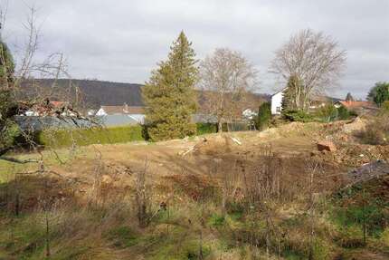 Grundstück zu verkaufen in Kreuzwertheim 613.565,00 € 1681 m²