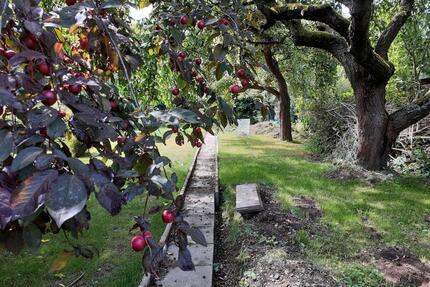 Garten zu verpachten Lohfelden Vollmarshausen