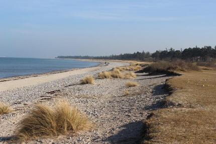 Osterurlaub auf der Ostseeinsel Fehmarn Bauernhof