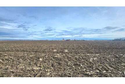 Grundstück zu verkaufen in Leipheim Riedheim 1.000.000,00 € 82507 m² - Leipheim / Riedheim