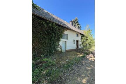 EINFAMILIENHAUS MIT LOFTCHARAKTER - Soest