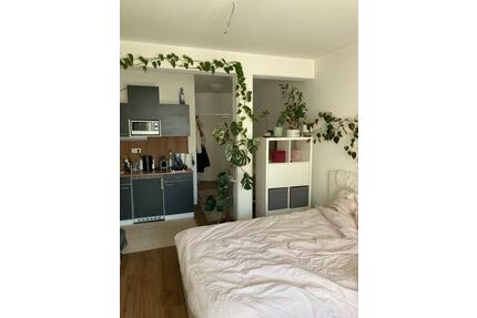 Nachmieter (mwd) Apartment Neubau mit Balkon Uni-Nähe 1 Zimmer - Trier Kürenz