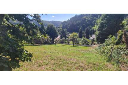 Grundstück zu verkaufen in Schönau 200.000,00 € 1514 m²