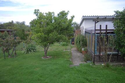 Kleingarten KGA Reutershagen 300 qm abzugeben - Rostock Hansaviertel