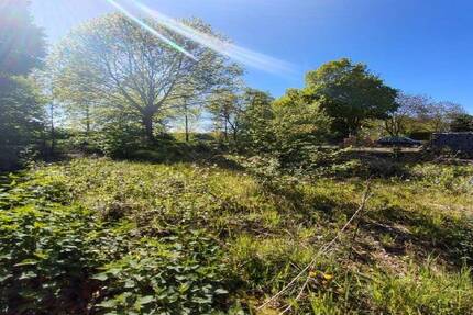 Baugrundstück in Willich Neersen naturhahe Lage an der Niers mit Potenzial