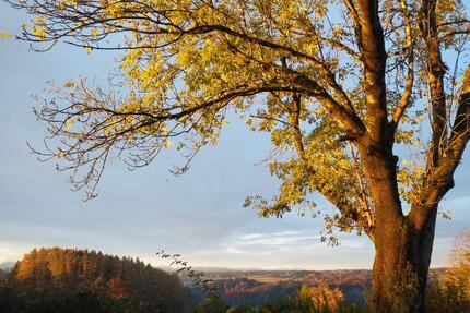 Kleines Haus zu vermieten - 1.900,00&nbsp;EUR Kaltmiete, ca.&nbsp; 130,00&nbsp;m&sup2; in Glonn (PLZ: 85625)